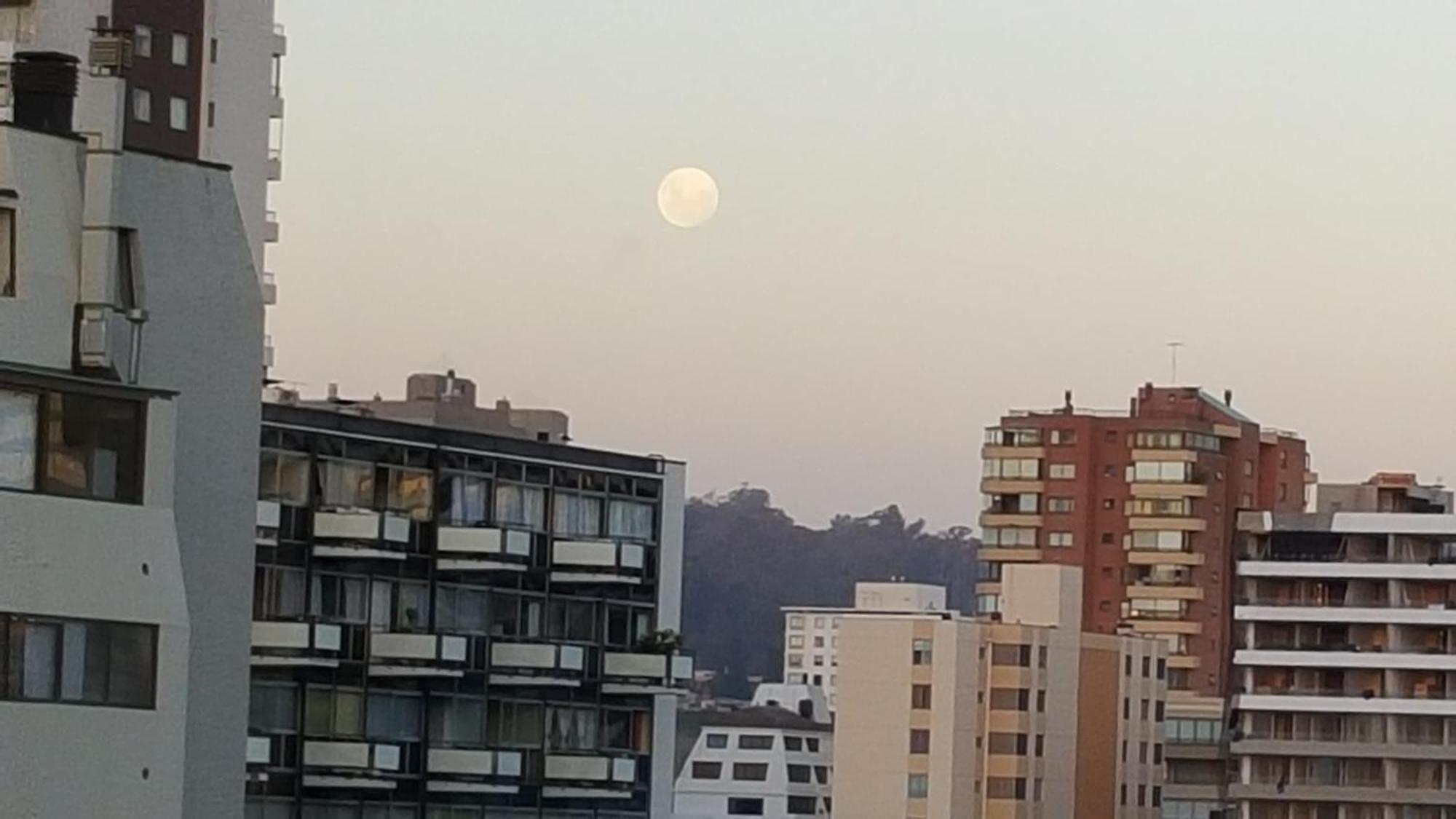 Edificio Maya Vina del Mar Chambre photo